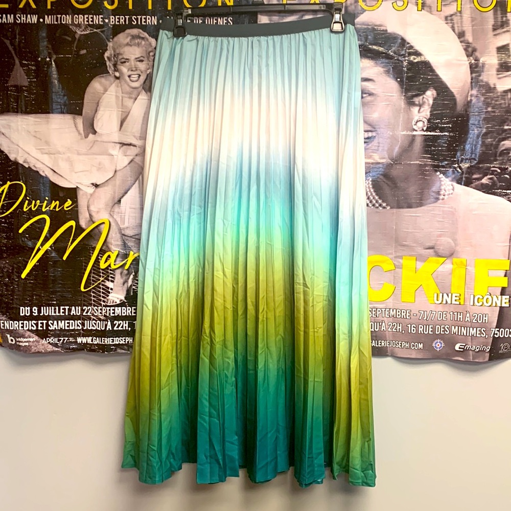 Green ombré maxi skirt
